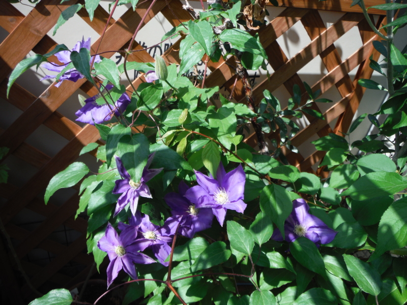 f:id:TeramotoM:20130426093223j:image:w360 f:id:TeramotoM:20130426093223j:image:w360