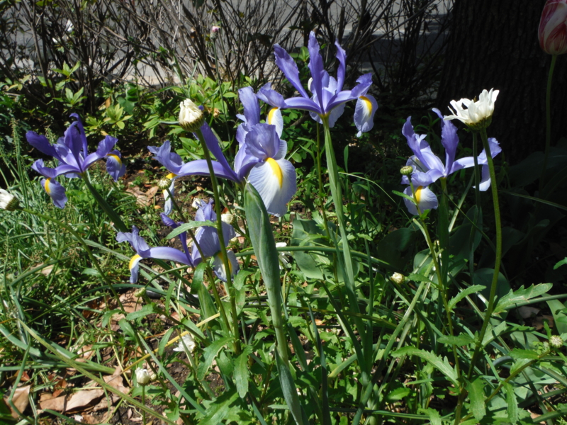 f:id:TeramotoM:20130427112442j:image:w360