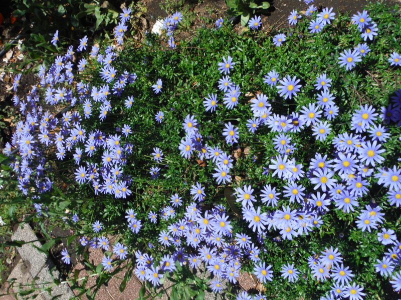 f:id:TeramotoM:20130427112529j:image:w360
