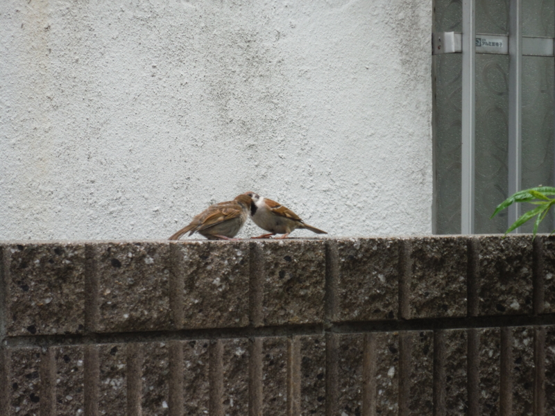 f:id:TeramotoM:20130519145515j:image:w360 f:id:TeramotoM:20130519145515j:image:w360