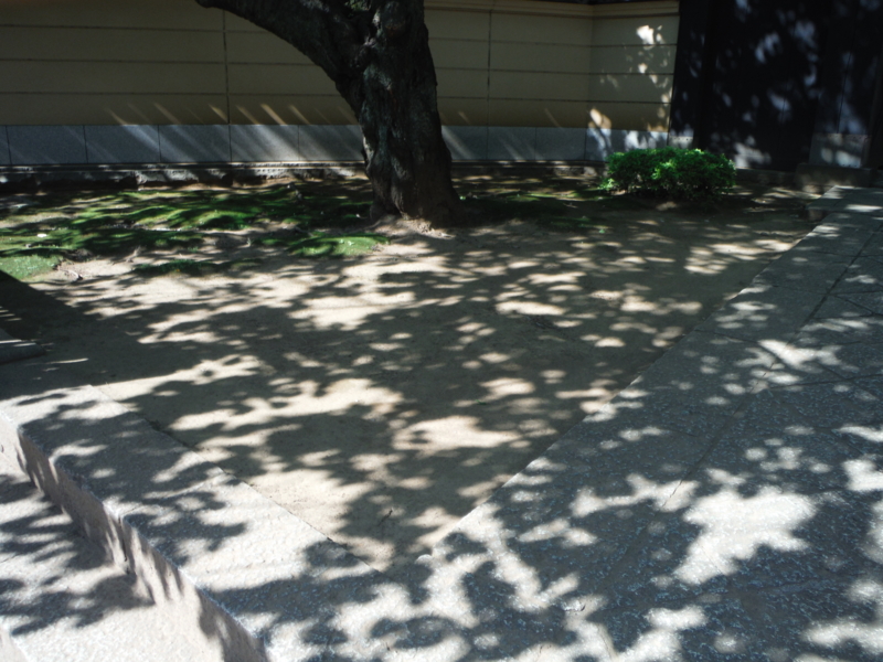 f:id:TeramotoM:20130602150321j:image:w360