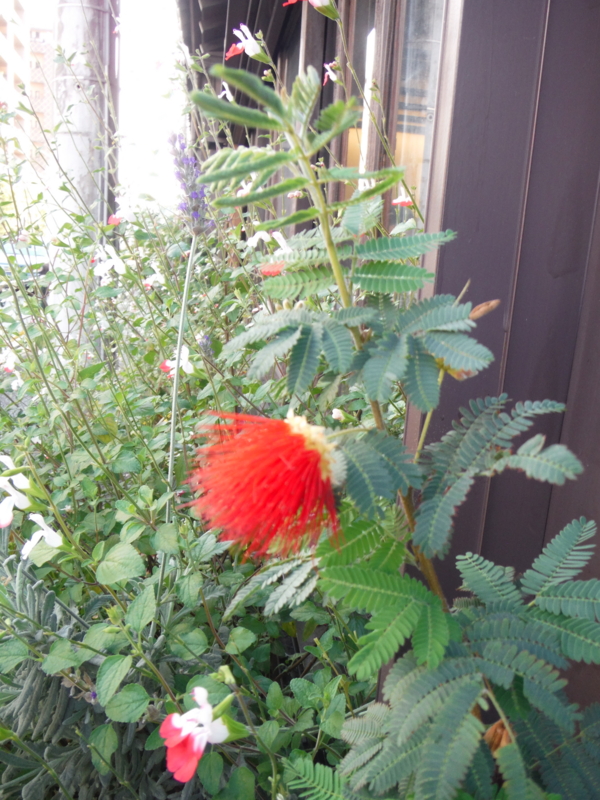 f:id:TeramotoM:20130602162354j:image:w360