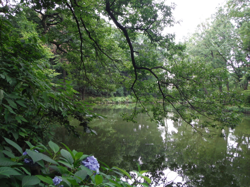 f:id:TeramotoM:20130623122336j:image:w360