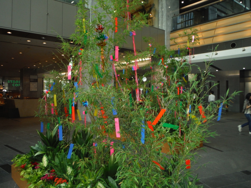 f:id:TeramotoM:20130702151453j:image:w360