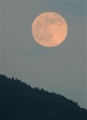 f:id:TeramotoM:20130707095312j:image:medium