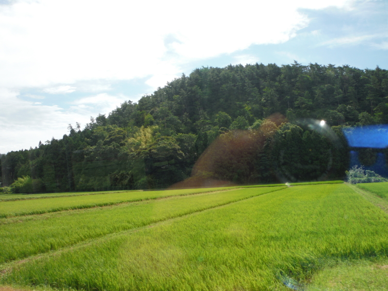 f:id:TeramotoM:20130709091156j:image:w360 f:id:TeramotoM:20130709091156j:image:w360