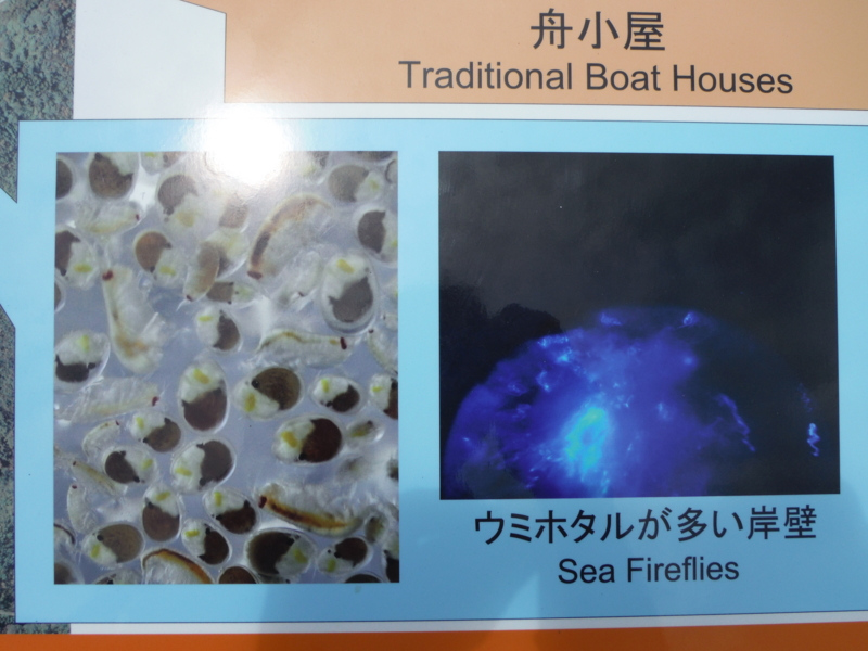 f:id:TeramotoM:20130709110011j:image:w360