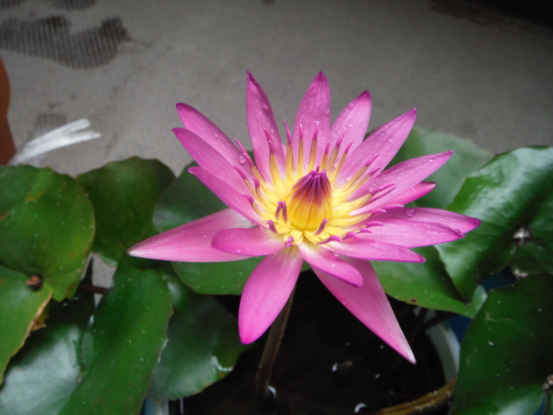 f:id:TeramotoM:20130725110104j:image:w360