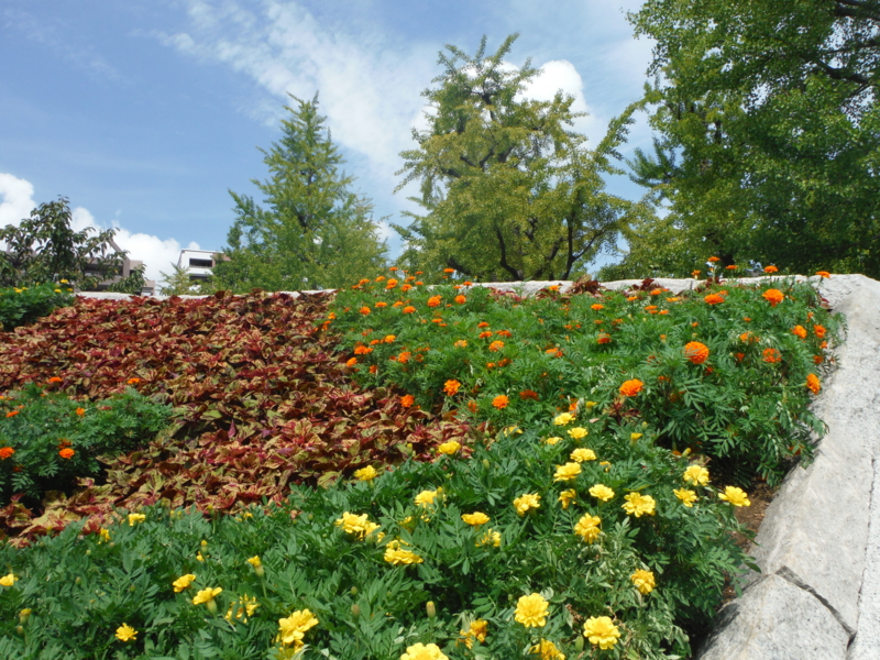 f:id:TeramotoM:20130914124105j:image:w360 f:id:TeramotoM:20130914124105j:image:w360