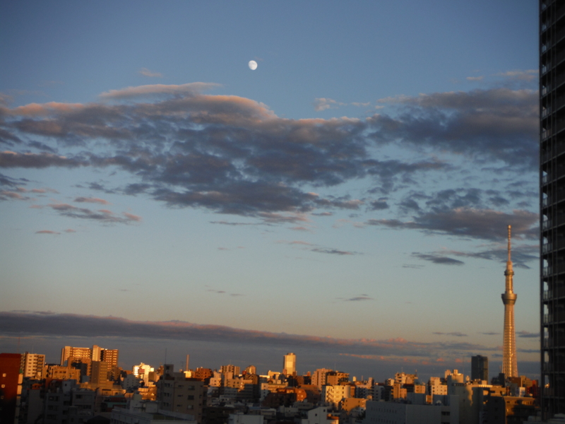 f:id:TeramotoM:20131016165558j:image:w360 f:id:TeramotoM:20131016165558j:image:w360