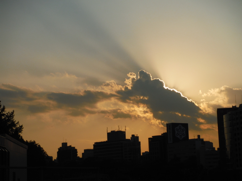 f:id:TeramotoM:20131108155450j:image:w360