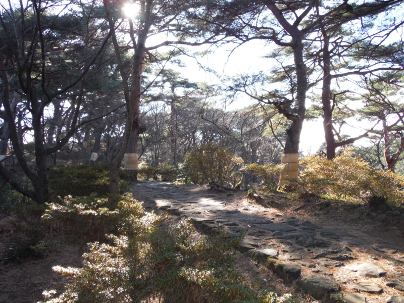 f:id:TeramotoM:20131212125020j:image:w360