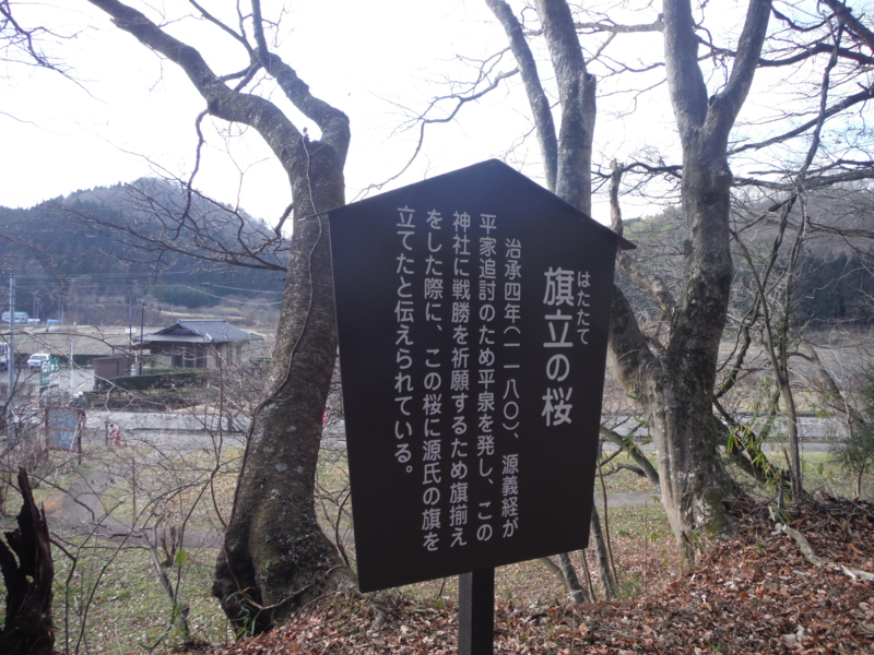 f:id:TeramotoM:20131213142307j:image:w360