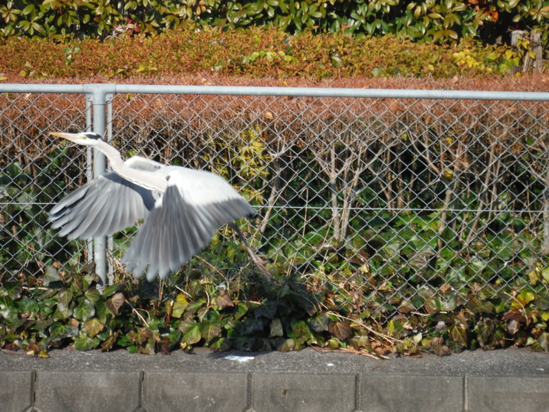 f:id:TeramotoM:20140101122746j:image:w360