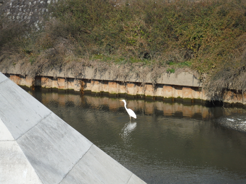 f:id:TeramotoM:20140101124944j:image:w360