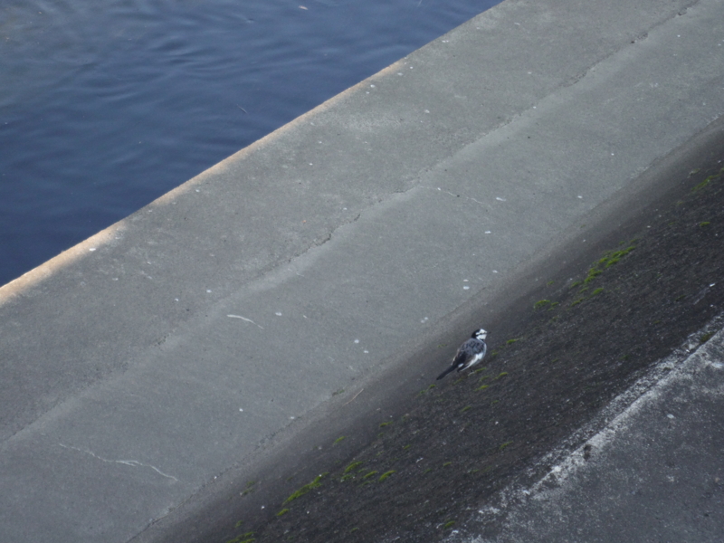 f:id:TeramotoM:20140101130248j:image:w360 f:id:TeramotoM:20140101130248j:image:w360