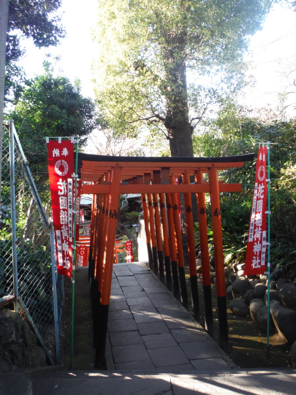 f:id:TeramotoM:20140119152046j:image:w360