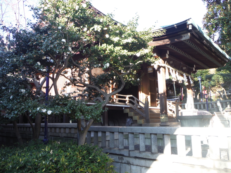f:id:TeramotoM:20140119152219j:image:w360