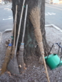f:id:TeramotoM:20140119160742j:image:medium