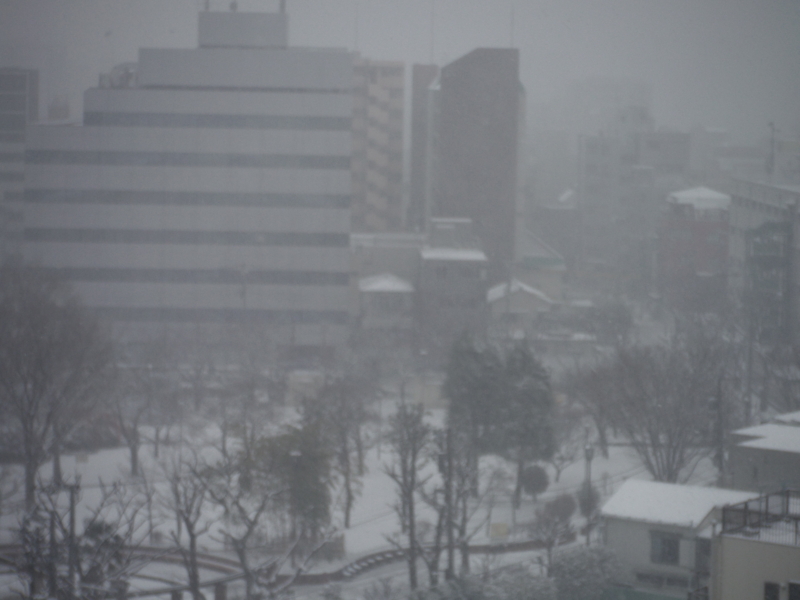 f:id:TeramotoM:20140208114636j:image:w360