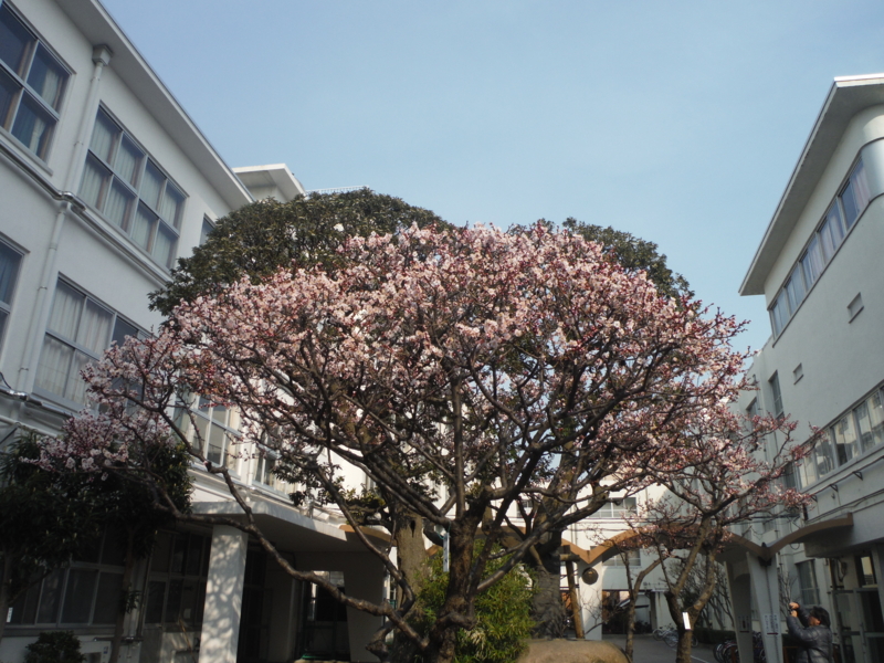 f:id:TeramotoM:20140312150210j:image:w360