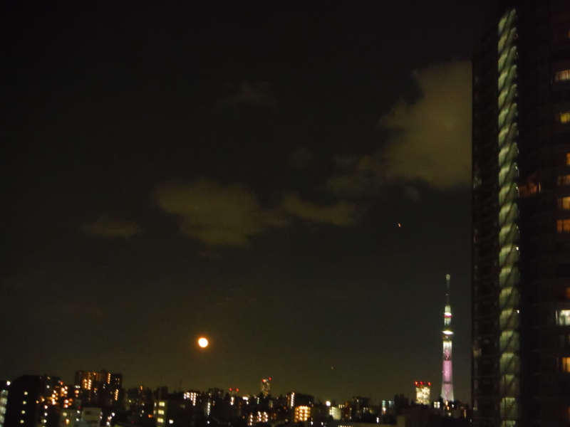f:id:TeramotoM:20140318195155j:image:w360