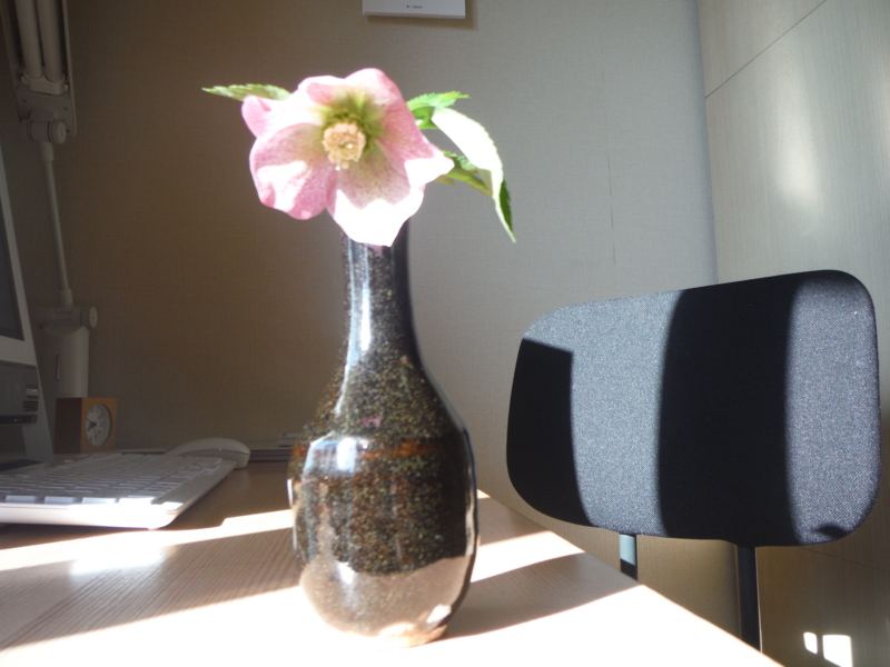 f:id:TeramotoM:20140322074919j:image:w360