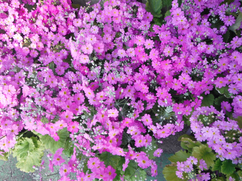 f:id:TeramotoM:20140331152824j:image:w360 f:id:TeramotoM:20140331152824j:image:w360