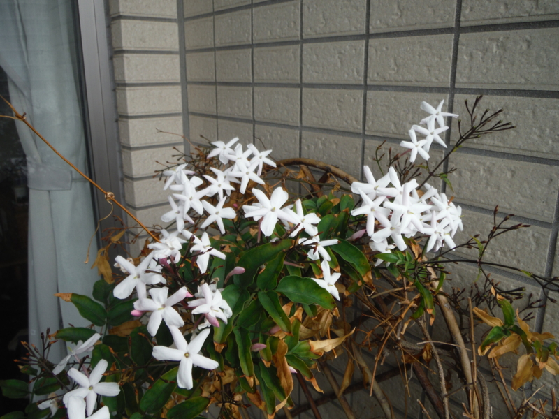 f:id:TeramotoM:20140501085805j:image:w360 f:id:TeramotoM:20140501085805j:image:w360