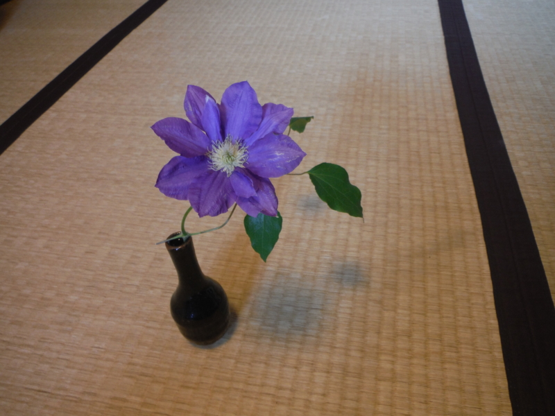f:id:TeramotoM:20140504105351j:image:w360