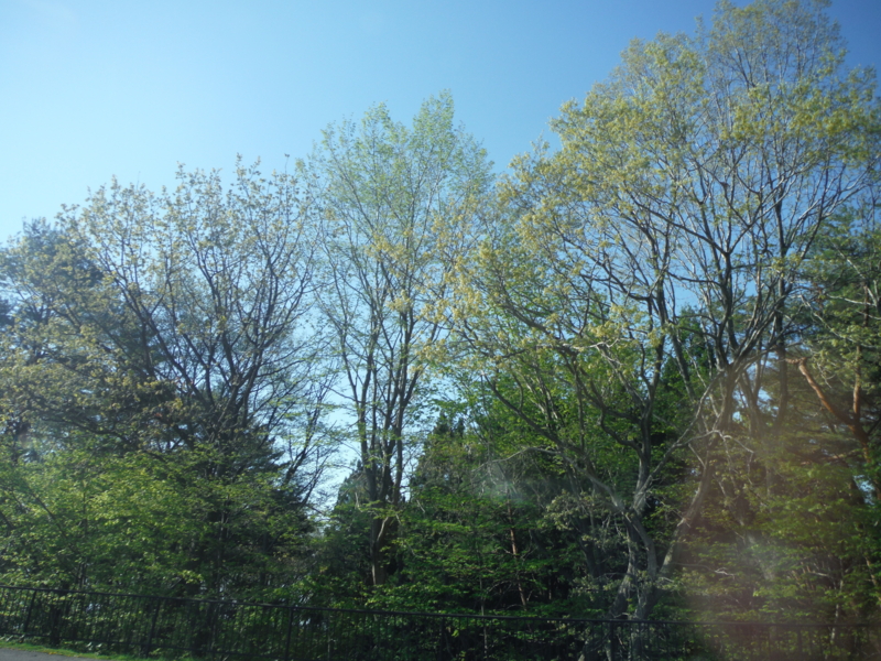 f:id:TeramotoM:20140511070637j:image:w360