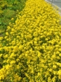 f:id:TeramotoM:20140511092600j:image:medium
