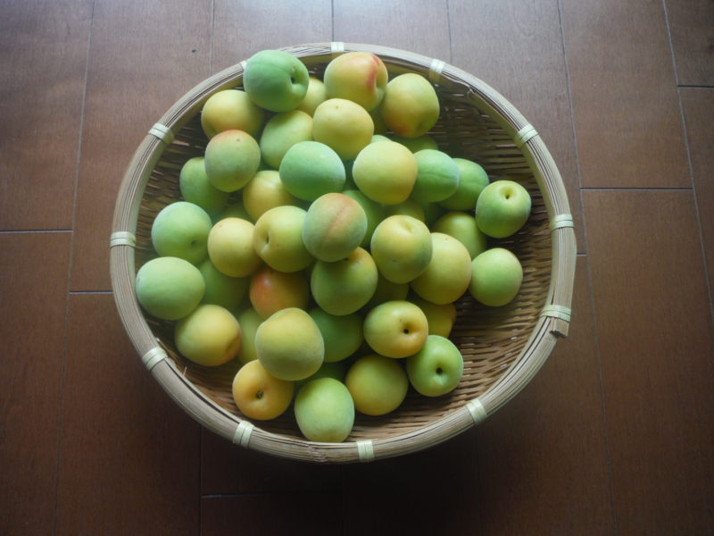 f:id:TeramotoM:20140610124836j:image:w360