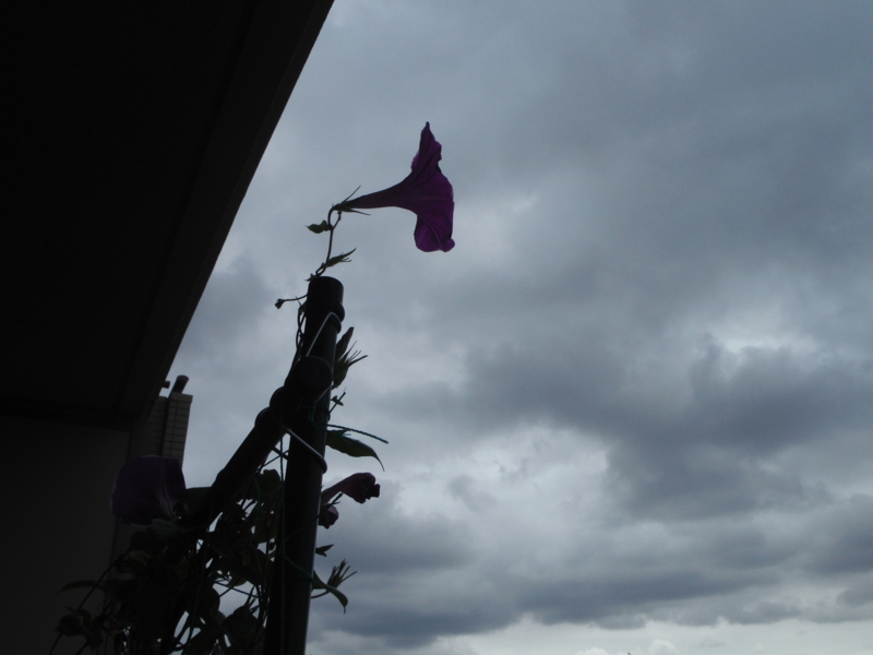 f:id:TeramotoM:20140831123029j:image:w360
