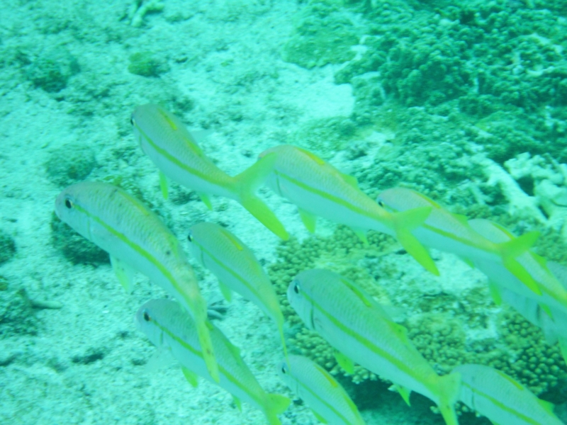 f:id:TeramotoM:20150718163552j:image:w360 f:id:TeramotoM:20150718163552j:image:w360