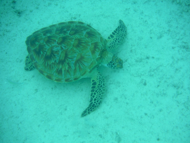 f:id:TeramotoM:20150718170623j:image:w360 f:id:TeramotoM:20150718170623j:image:w360