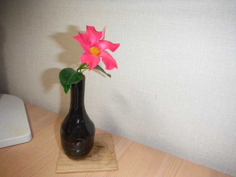 f:id:TeramotoM:20150815102811j:image:w360