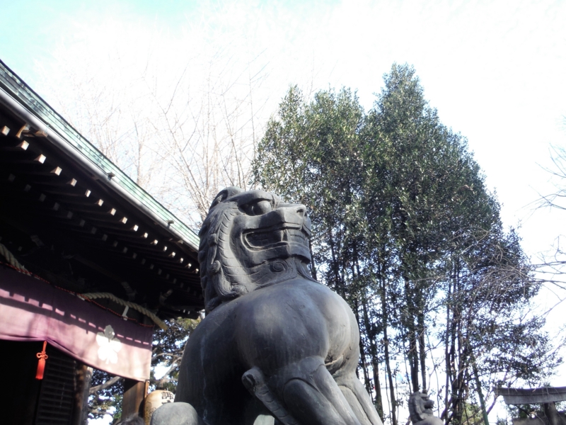 f:id:TeramotoM:20160102104336j:image:w360