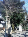 f:id:TeramotoM:20160210152952j:image:medium