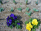 f:id:TeramotoM:20160313092315j:image:small:left