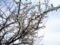 f:id:TeramotoM:20160313095401j:image:small:right