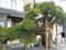 f:id:TeramotoM:20160313101144j:image:small:right