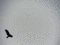 f:id:TeramotoM:20160313101759j:image:small:right