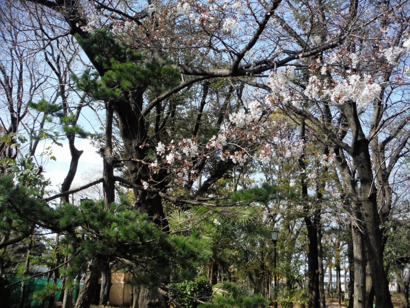 f:id:TeramotoM:20160325143758j:image:w360