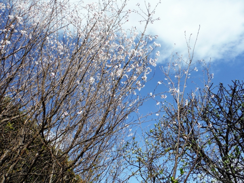 f:id:TeramotoM:20160325145033j:image:w360
