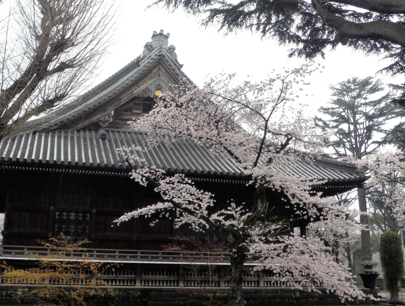 f:id:TeramotoM:20160403080502j:image:w360