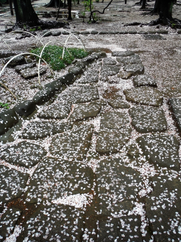 f:id:TeramotoM:20160407163822j:image:w360