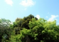 f:id:TeramotoM:20160603150126j:image:medium