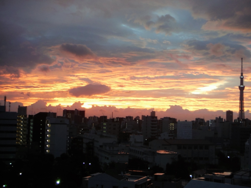 f:id:TeramotoM:20161009053857j:image:w360