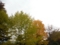 20161017113145